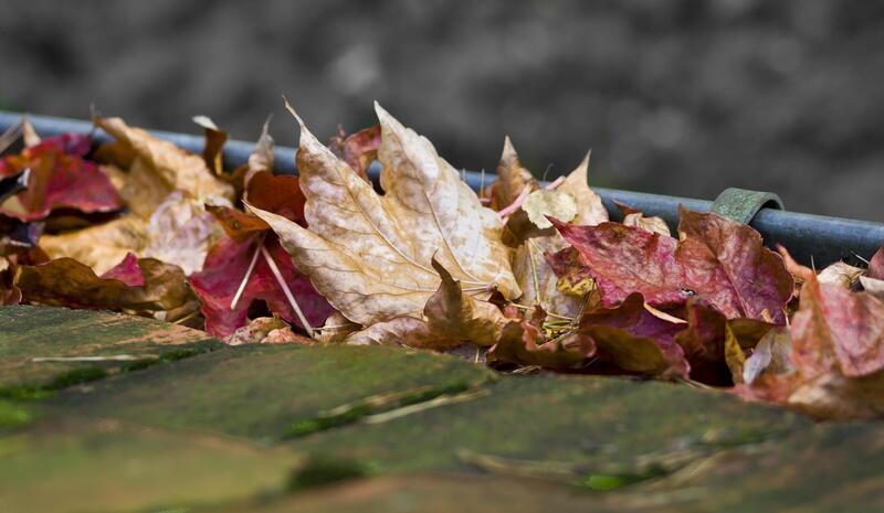 gutters filed with leaves 
